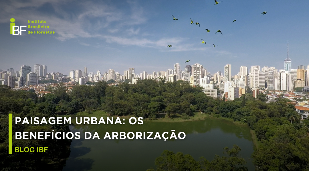 PAISAGEM URBANA OS BENEFÍCIOS DA ARBORIZAÇÃO