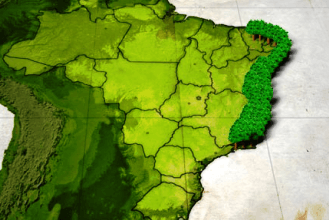 Mapa Pau-Brasil
