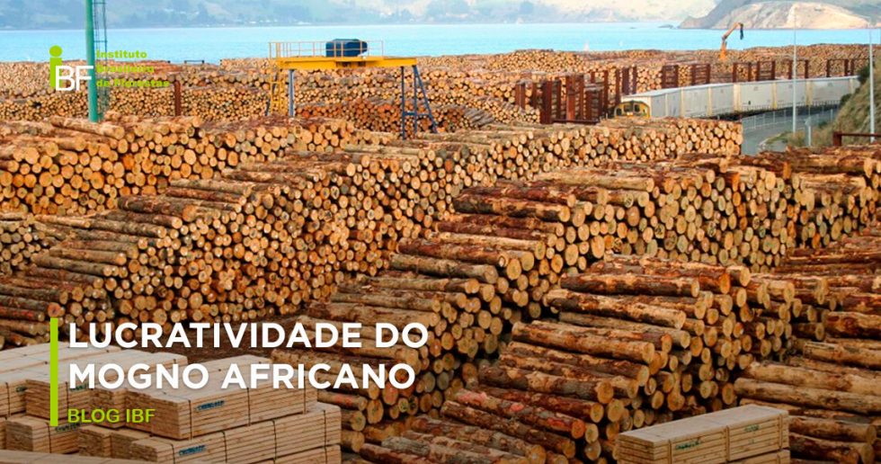 Lucratividade do Mogno Africano IBF