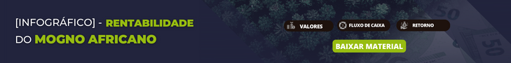 banner-infografico