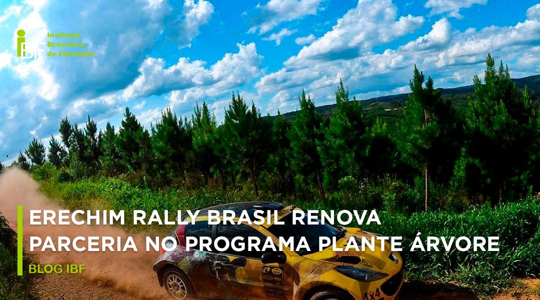 Erechim Rally Brasil renova parceria no Programa Plante Árvore