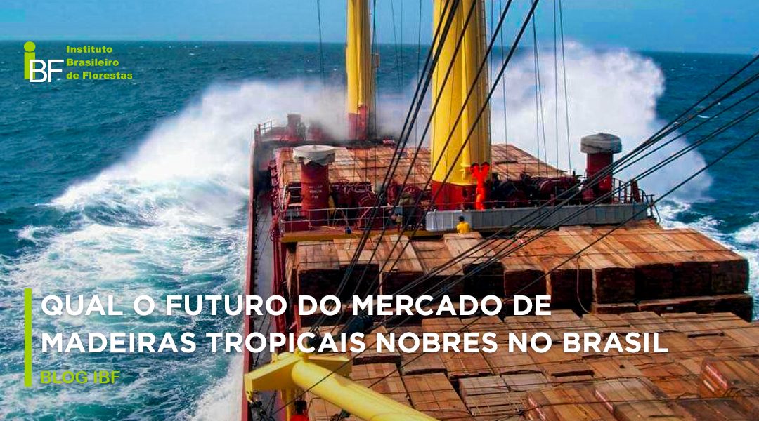 Qual o Futuro do Mercado de Madeiras Tropicais Nobres no Brasil