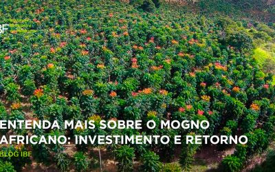 Conheça mais sobre o Mogno Africano: Investimento e Retorno