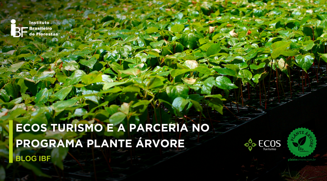 ECOS Turismo parceira do Programa Plante Árvore