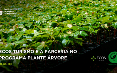 ECOS Turismo parceira do Programa Plante Árvore