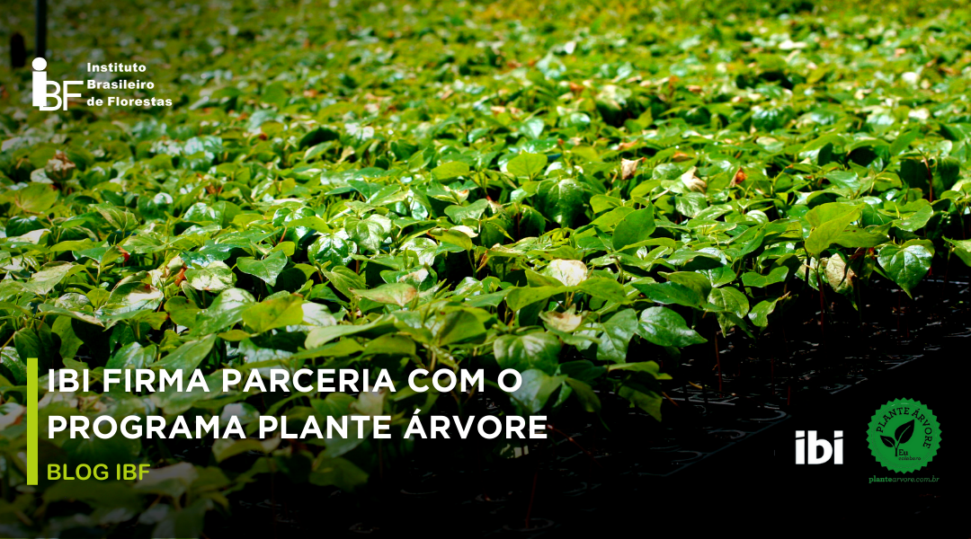 IBI (Instituto Brasileiro de Integração) firma parceria com o Programa Plante Árvore