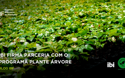 IBI (Instituto Brasileiro de Integração) firma parceria com o Programa Plante Árvore