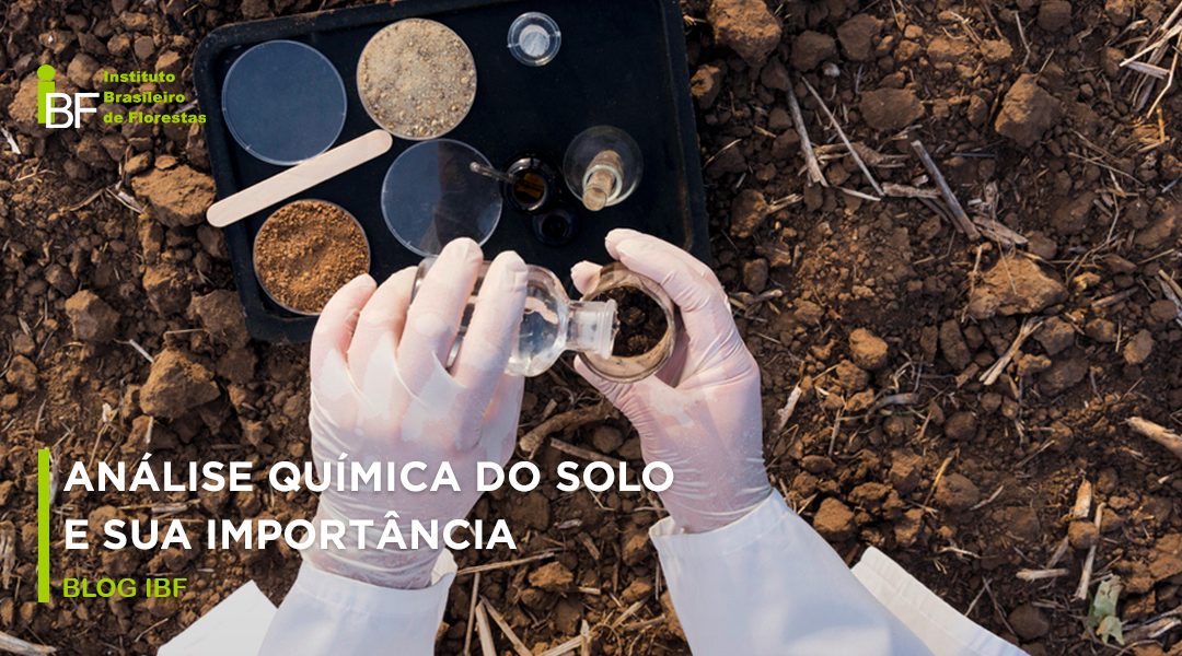 análise química do solo