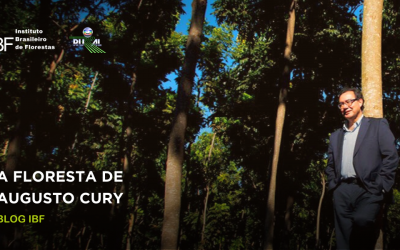 A floresta de Augusto Cury