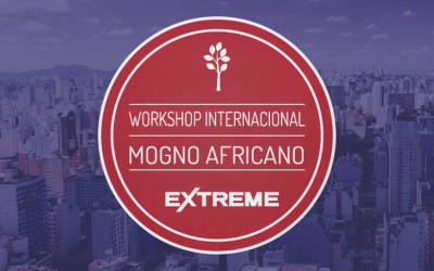 Workshop Internacional do Mogno Africano – Edição Extreme