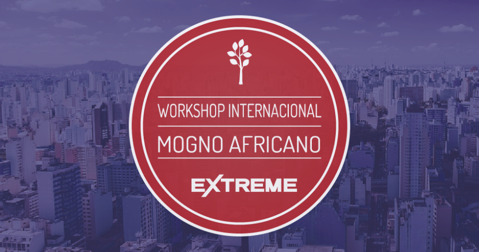 Workshop Internacional de Mogno Africano – Edição Extreme
