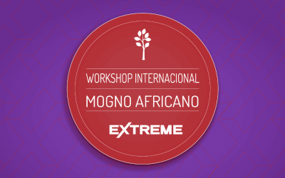 8° Workshop do Mogno Africano foi um sucesso!