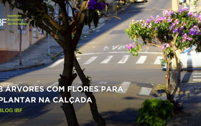 8 árvores com flores para plantar na calçada