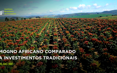 Mogno Africano comparado a investimentos tradicionais