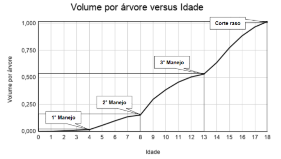grafico 2