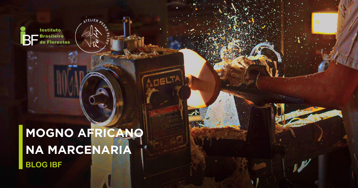 Como é trabalhar com a madeira de Mogno Africano na marcenaria?