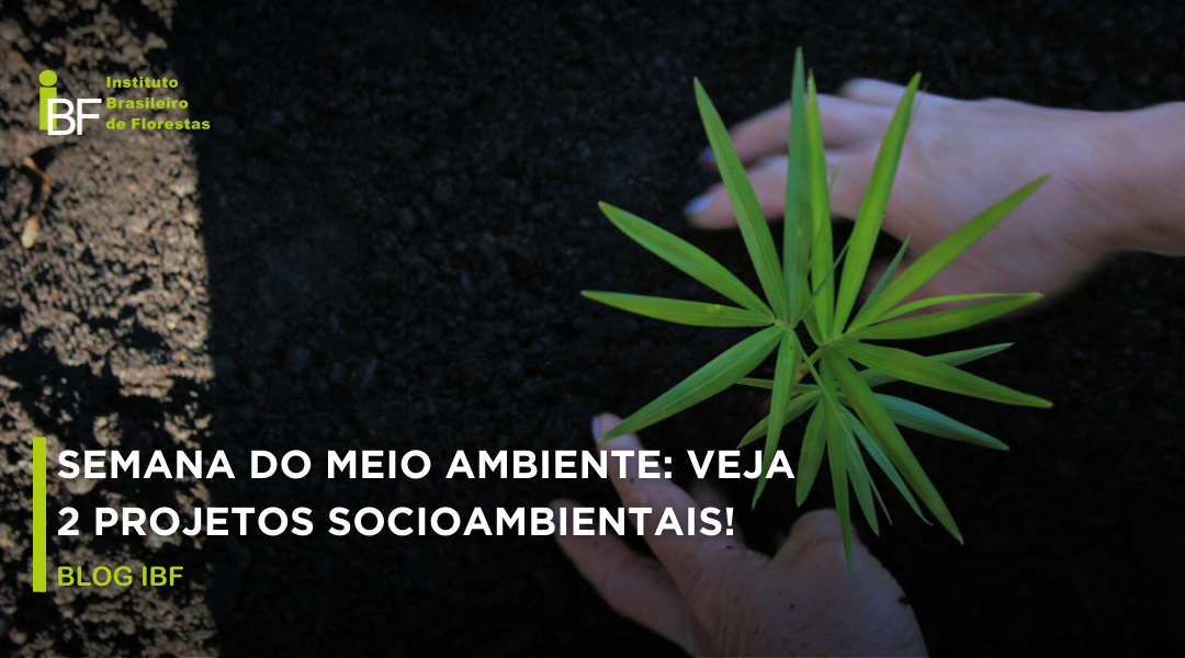 Semana do Meio Ambiente