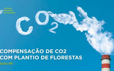 Compensação de CO2 com Plantio de Florestas