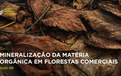 Mineralização da matéria orgânica em florestas comerciais