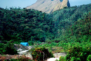 relevo da amazônia