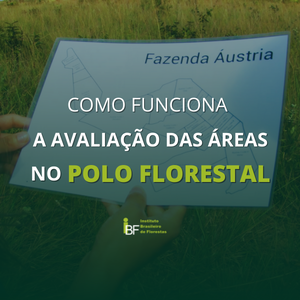 capa-como-funciona-avaliacao-da-area-polo-florestal