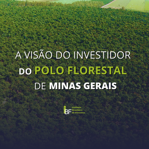 capa-a-visao-d-investidor-do-polo-florestal-mg