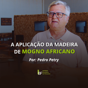 a-aplicacao-da-madeira-de-mogno-por-pedro-petry