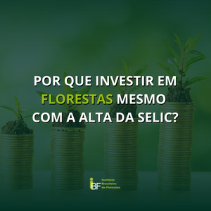 por-investir-em-florestas-mesmo-com-alta-da-selic