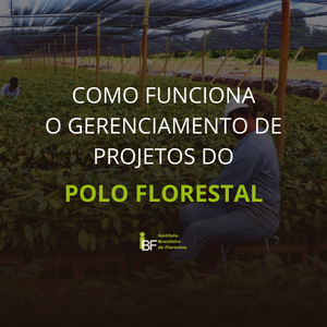 como-funciona-o-gerenciamento-de-projetos-polo-florestal