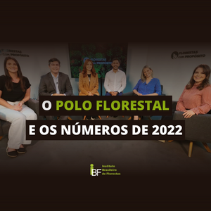 o-polo-florestal-e-os-numeros-2022