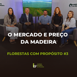 florestas-com-proposito-mercado-e-preco-da-madeira