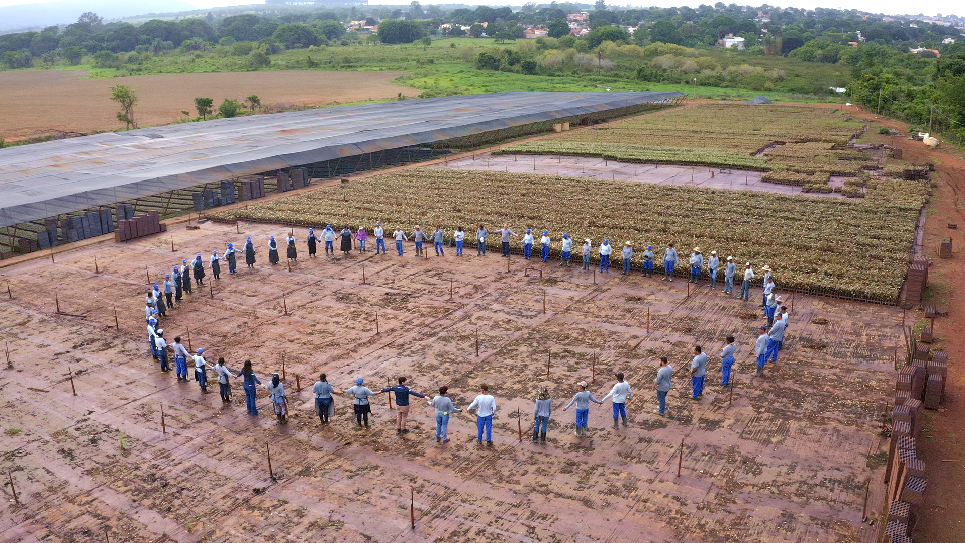 equipe-de-campo